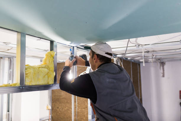 Best Eco-Friendly Insulation in Canton Valley, CT