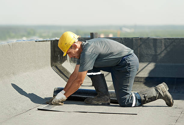 Best Specialized Insulation Services in Canton Valley, CT